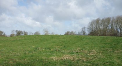 wierde